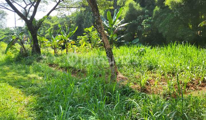 Land for Sale, Suitable for Hospital or School in Sawangan, Depok. Land for Sale, Suitable for Hospital or School in Sawangan, Depok.