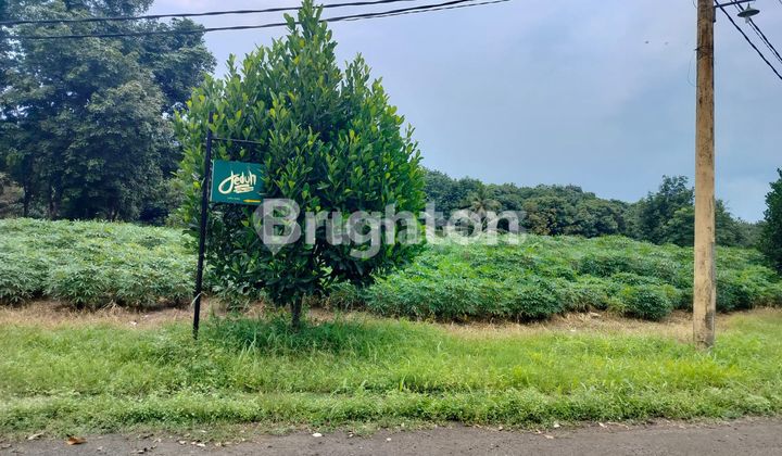 Tanah dijual di Telaga Kahuripan, Bogor