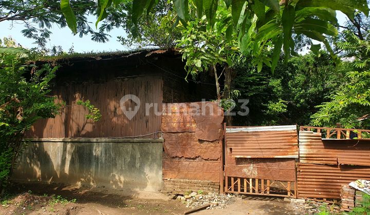 Strategic Land In The Center of Activity Strategic Land In The Center of Activity