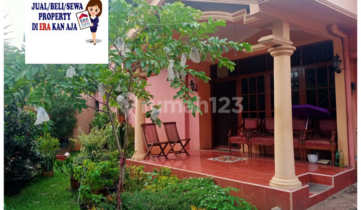 Rumah Luas Standar Rapi Kayu Putih.