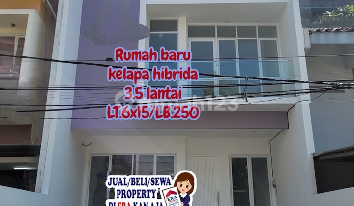 Rumah Brand New 3.5lt Kelapa Hibrida 1