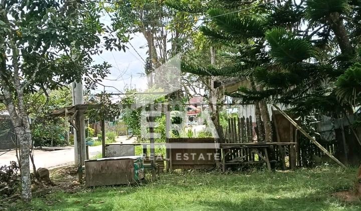 Land For Sale With Bonus Of Old House Building And Densely Populated Area And Sufficiently Wide Road Access