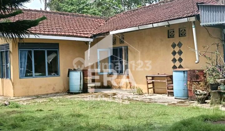 Land For Sale With Bonus Of Old House Building And Densely Populated Area And Sufficiently Wide Road Access