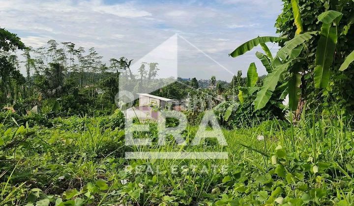 Land for Rent, Strategic Location on the Side of the Main Road, Suitable for Workshop Land for Rent, Strategic Location on the Side of the Main Road, Suitable for Workshop