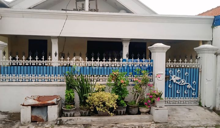 Dijual Rumah 1 Lantai Bebas Banjir Lokasi Sangat Strategis Dijual Rumah 1 Lantai Bebas Banjir Lokasi Sangat Strategis