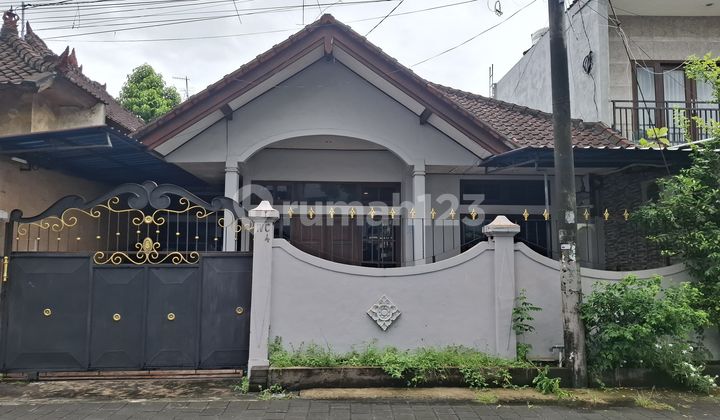 House Ready to Live In - Comfortable & Strategic in Padang Udayana