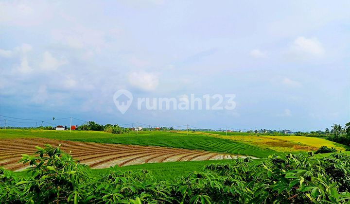 Tanah Kavling Zona Pink Pantai Kelecung Tabanan