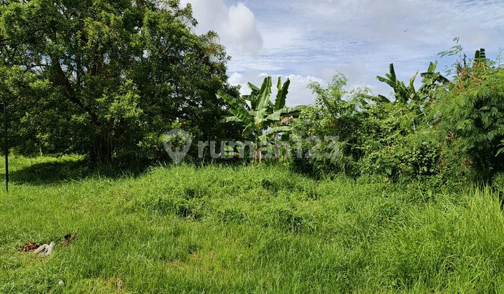 Strategic Land of 23,430M² on the Denpasar-Gilimanuk Main Road Strategic Land of 23,430M² on the Denpasar-Gilimanuk Main Road