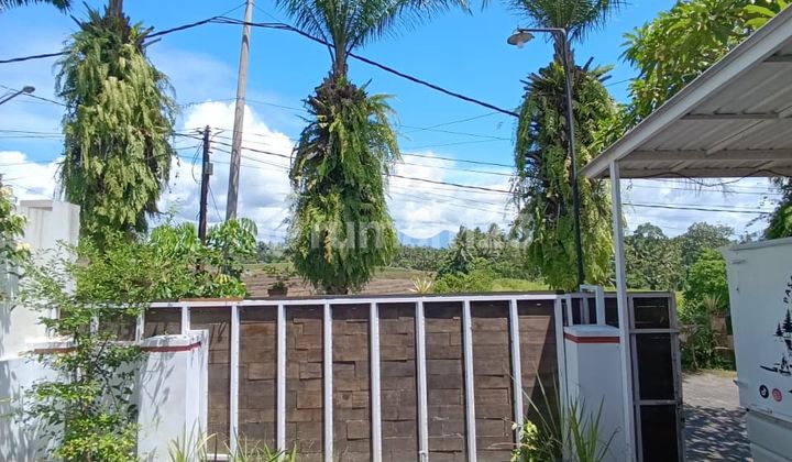 Modern Minimalist House with One Gate System, Wide Road Access and Paving in Tabanan