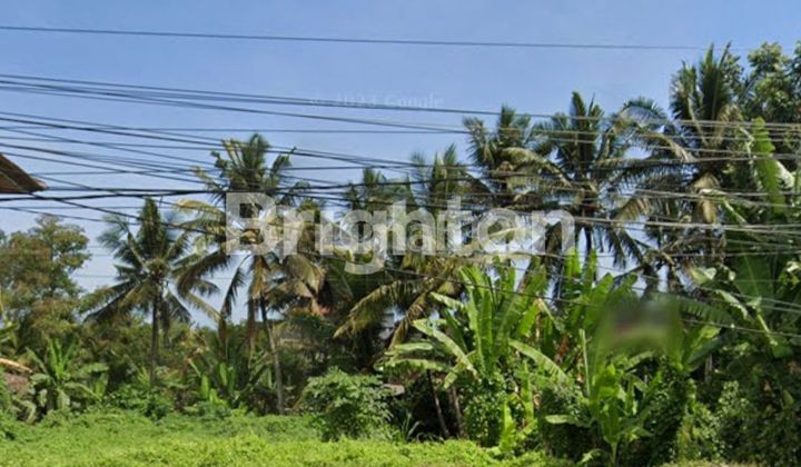COMMERCIAL LAND ON THE SIDE OF DENPASAR-GILIMANUK MAIN ROAD, READY TO BUILD COMMERCIAL LAND ON THE SIDE OF DENPASAR-GILIMANUK MAIN ROAD, READY TO BUILD
