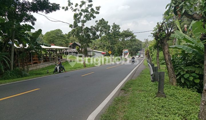 TANAH INVESTASI STRATEGIS DI ANTAP, SELEMADEG