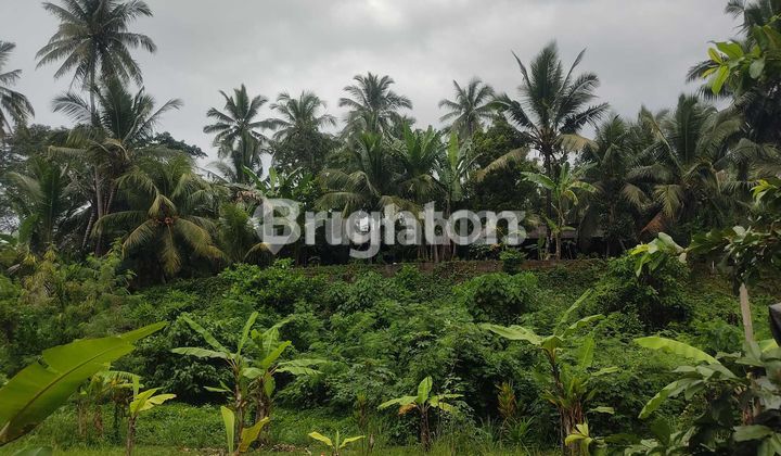 TANAH KAVLING ITR KUNING DI BATUAJI, TABANAN TANAH KAVLING ITR KUNING DI BATUAJI, TABANAN