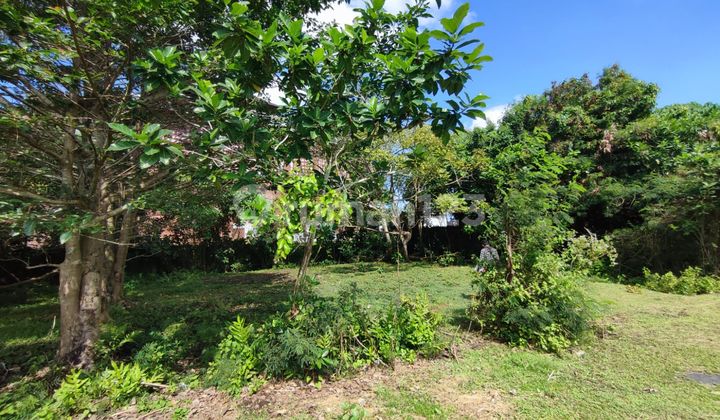 Tanah Siap Bangun Seluas 400M² di Badung Tanah Siap Bangun Seluas 400M² di Badung