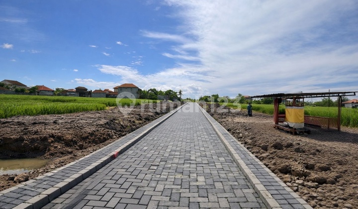 Land Plot in Yellow Zone Ready to Build in Pandak Gede - Tabanan Land Plot in Yellow Zone Ready to Build in Pandak Gede - Tabanan