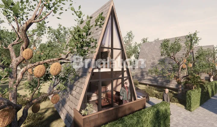 Cabin 4x6 + Land 10 Are SHM in the Mountains – Premium Durian Garden Bonus Cabin 4x6 + Land 10 Are SHM in the Mountains – Premium Durian Garden Bonus