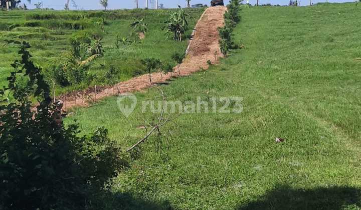 Tanah Seluas 88 Are View Gunung, Sawah dan Laut Dekat Pantai Soka