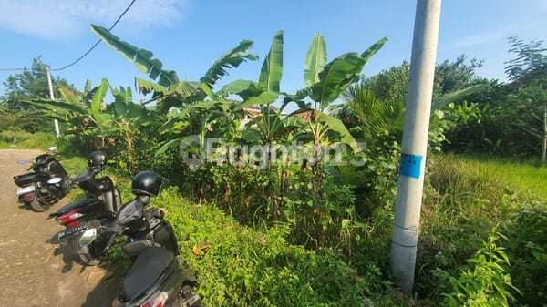 Tanah 7 Are di Tabanan, Area Pura Peneduhan Tanah 7 Are di Tabanan, Area Pura Peneduhan