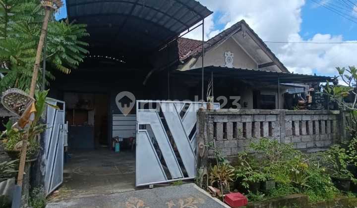Rumah Modern Asri di Kerambita Tabanan 2