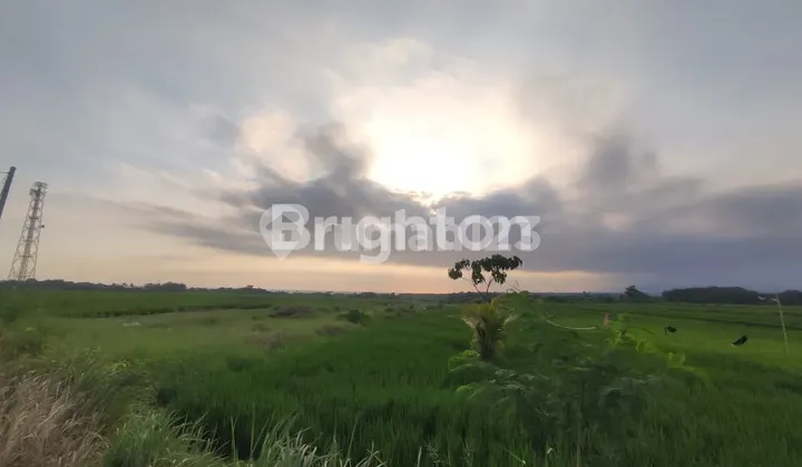 Tanah Premium Zona Pink Seluas 1975M² Siap Bangun