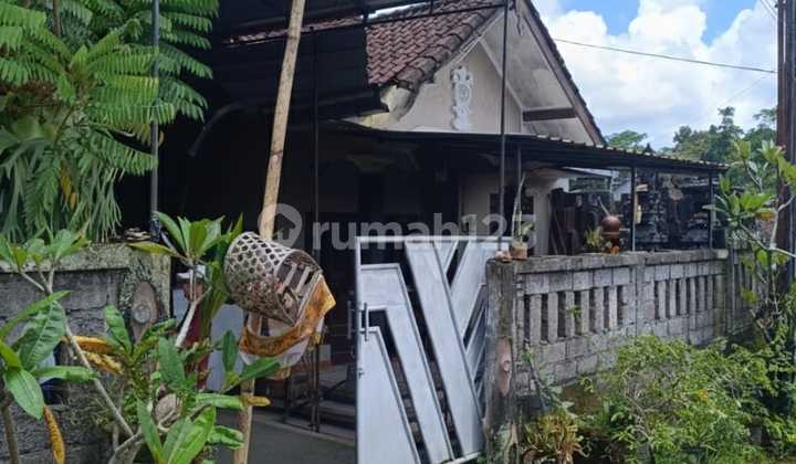 Rumah Modern Asri di Kerambita Tabanan