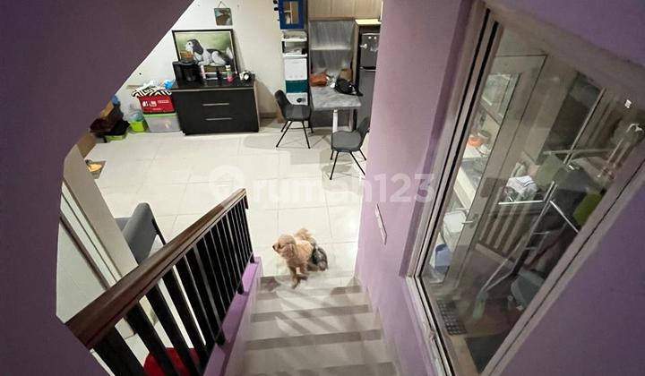 Rumah Siap Huni Disewakan di Thomson Gading Serpong 2