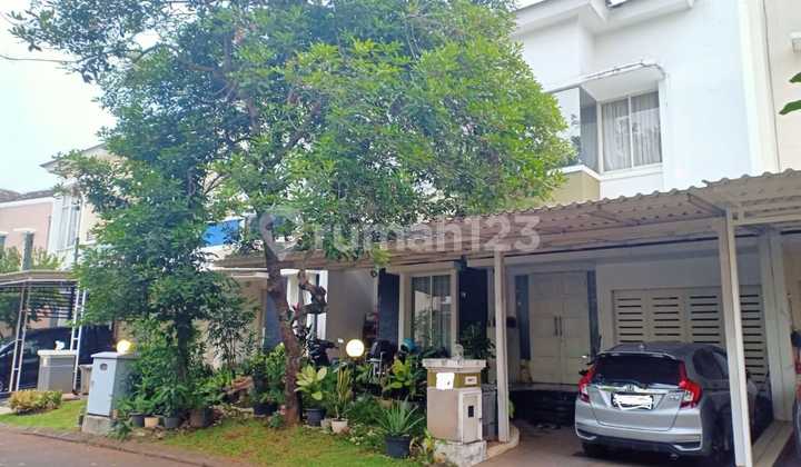 Price Drop! Large Chrysocolla House Phg Gading Serpong