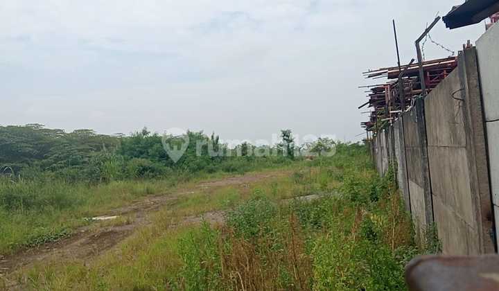 Vacant Land for Rent in Bringkang Area, Gresik