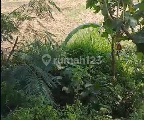 Tanah Di Jual Di Jatirejo Mojokerto Tanah Di Jual Di Jatirejo Mojokerto