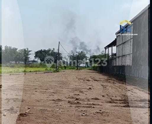 Dijual Tanah Luas 1300 M² Kel Tropodo Kec Krian Sidoarjo Dijual Tanah Luas 1300 M² Kel Tropodo Kec Krian Sidoarjo