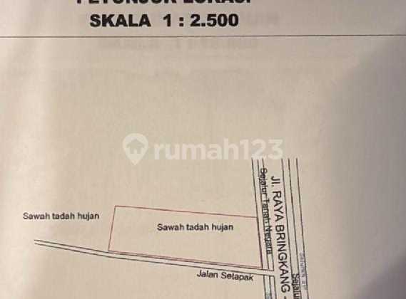 Vacant Land for Rent in Bringkang Area, Gresik