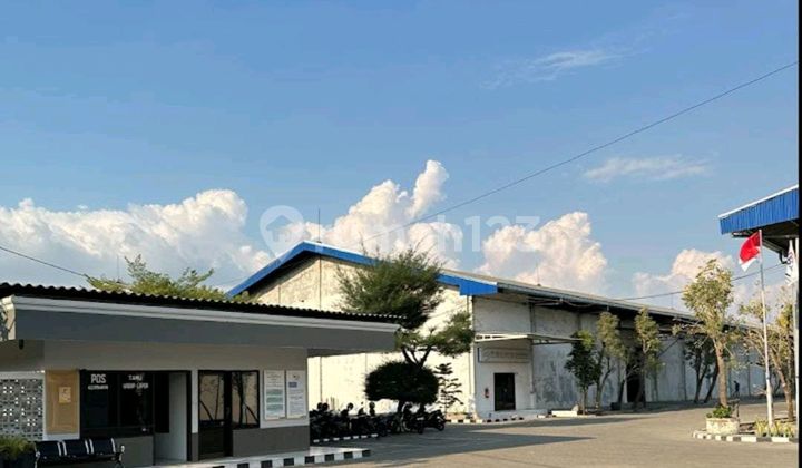 For Rent / For Sale Ready-to-Occupy Warehouse, Highly Strategic Location in Kalianak, Surabaya For Rent / For Sale Ready-to-Occupy Warehouse, Highly Strategic Location in Kalianak, Surabaya
