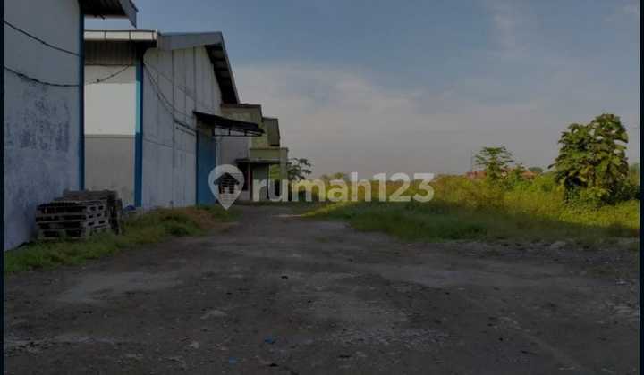 Di Jual Gudang Nol Jalan Balongpanggang Gresik Di Jual Gudang Nol Jalan Balongpanggang Gresik