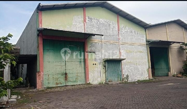 For sale warehouse Sinar Buduran II on East Ring Road Buduran Sidoarjo. For sale warehouse Sinar Buduran II on East Ring Road Buduran Sidoarjo.