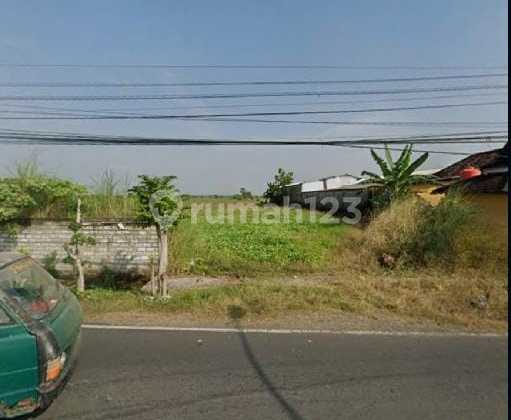 Land for Sale on Kalipang Main Road, Balongpanggang, Gresik Land for Sale on Kalipang Main Road, Balongpanggang, Gresik