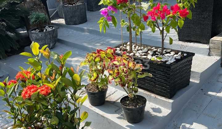 For Sale Good House Ready to Occupy - The Garden Cirebon 2