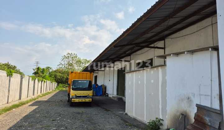 Warehouse for Rent Ready to Use in Pilang ~ Cirebon Warehouse for Rent Ready to Use in Pilang ~ Cirebon