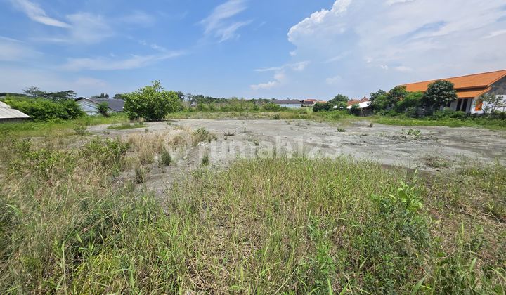 Dijual Tanah Kawasan Gudang & Pabrik - Tegal