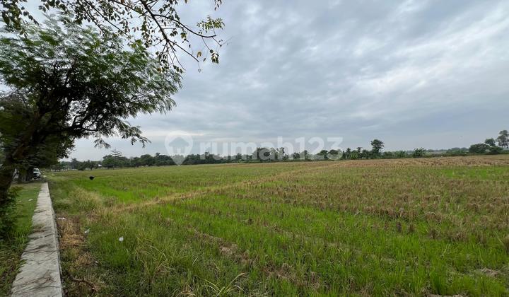 Dijual Tanah Luas Dan Strategis Di Bangodua, Indramayu