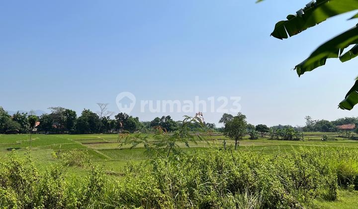 Dijual Tanah ~ Depok, Cirebon  1