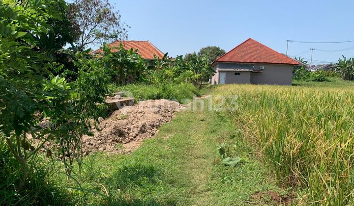 Dijual Tanah ~ Depok, Cirebon  2