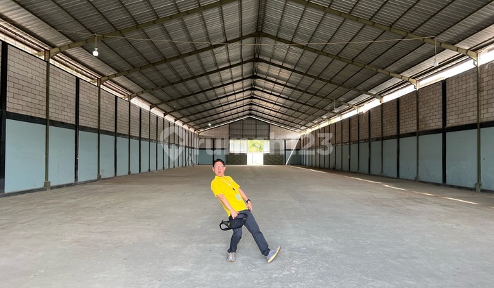 For Sale / For Rent Industrial Zone Warehouse ~ Plumbon