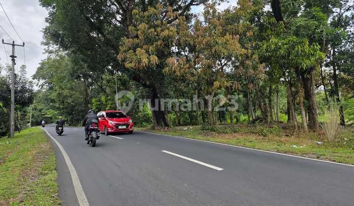 For Sale Garden Land ~ Sumber ~ Cirebon