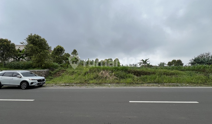 Land For Sale Near Arunika ~ Cisantana Kuningan