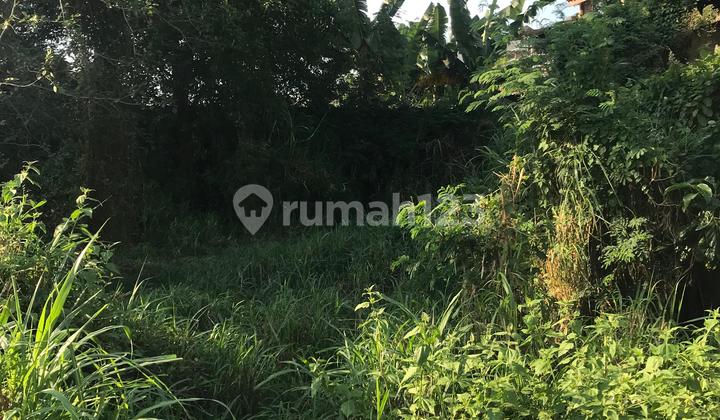 Tanah Pojok Tegalgondo Cocok Untuk Hunian Yn Tanah Pojok Tegalgondo Cocok Untuk Hunian Yn