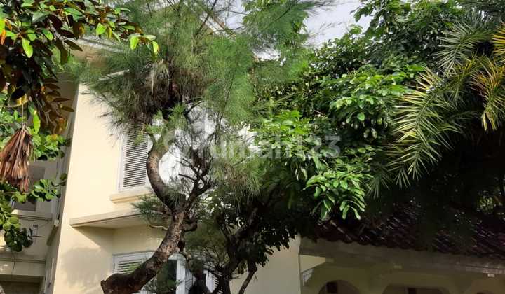 Rumah Idaman Eksklusif Dekat Ugm Ull Palagan Jalan Kaliurang 2