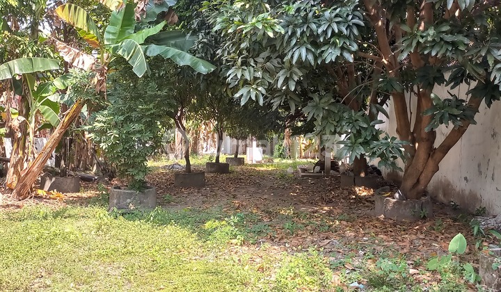 North Ringroad Land Near UGM UII Sadar Al Azhar Public Facilities North Ringroad Land Near UGM UII Sadar Al Azhar Public Facilities