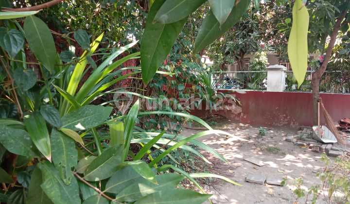 Tanah Lokasi Strategis Tengah Kota Yogyakarta Tegalrejo Tanah Lokasi Strategis Tengah Kota Yogyakarta Tegalrejo