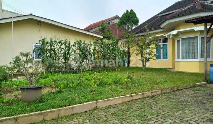 Rumah 1lantai Semarang Atas Cocok Untuk Restauran Cafe Yn 2