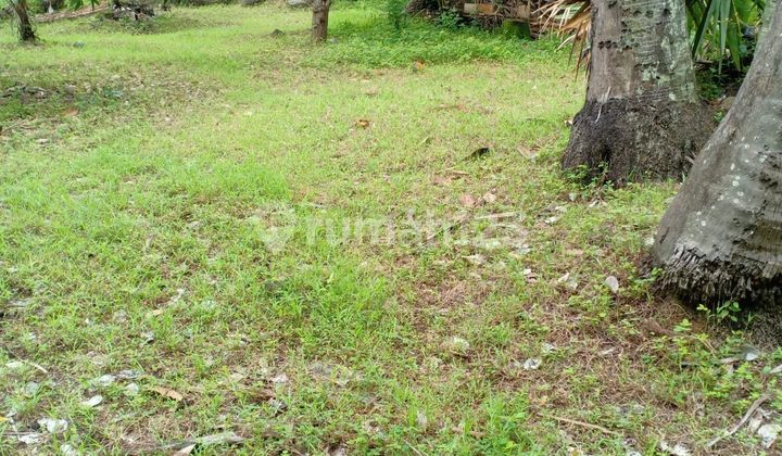 Investasi Tanah Dekat Pantai Bali Utara 9.400 M² SHM, Harga Langka di Bawah Pasar!