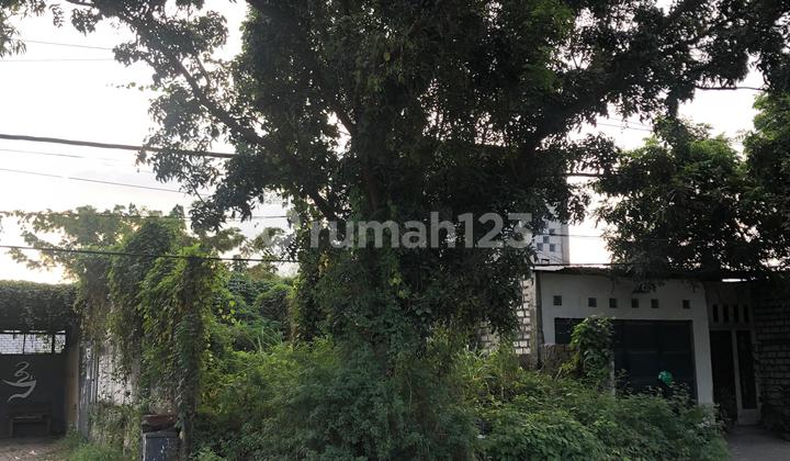 Land Area 118m2, Roadside Cerme, Suitable for Business Land Land Area 118m2, Roadside Cerme, Suitable for Business Land